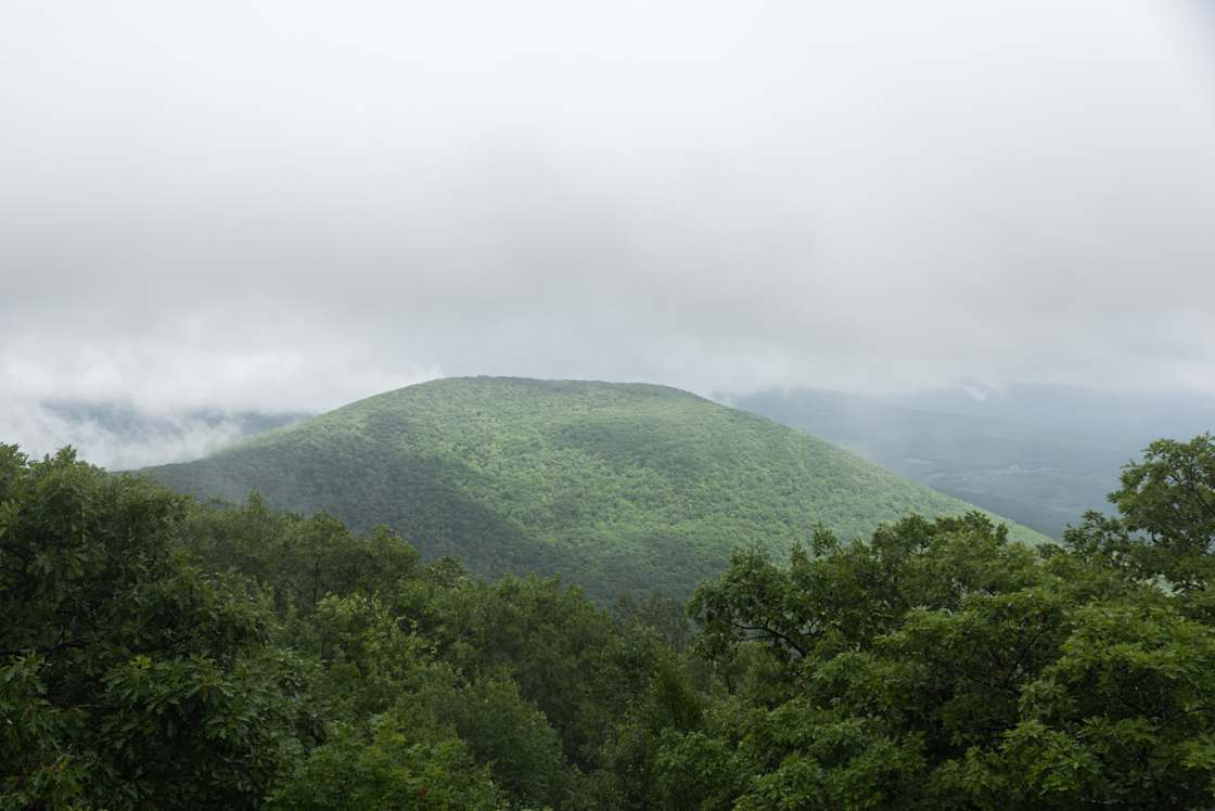 My view from the Mount Tremper fire tower on a rainy afternoon