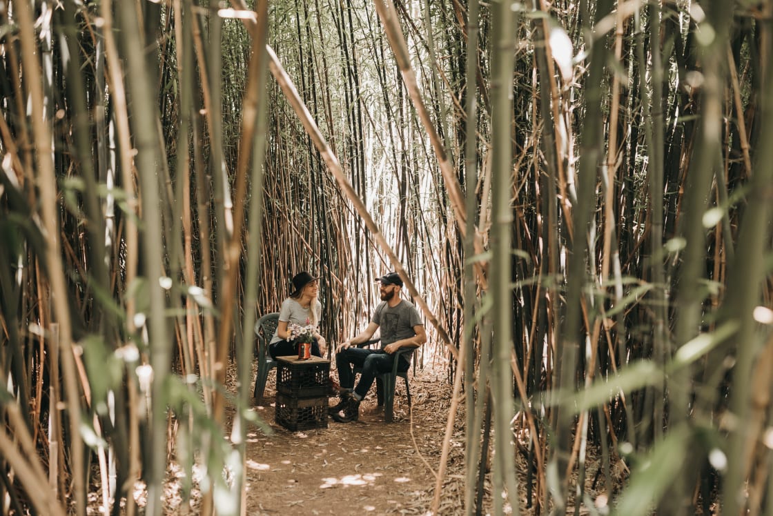 Bamboo grove was a perfect place for breakfast and to escape from the July sun. Probably 10 degrees cooler inside than out!