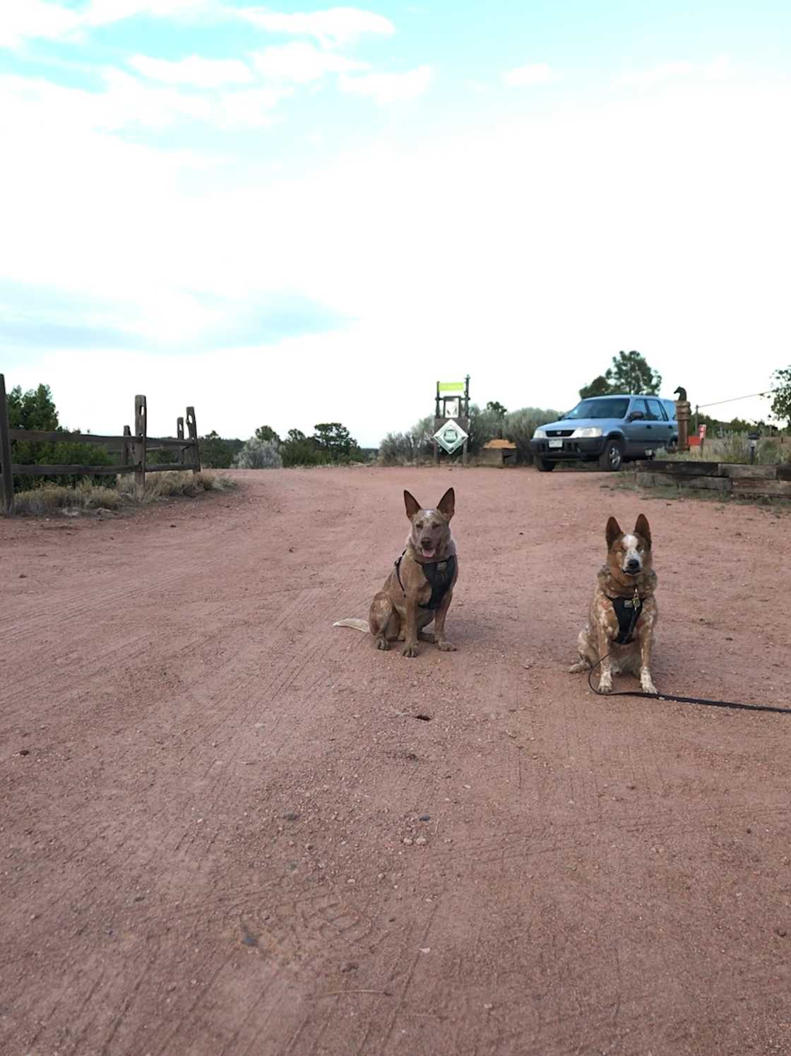 Buddy and Shane at the camp entrance.
