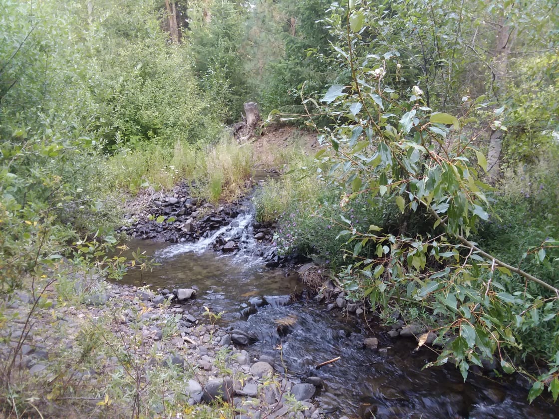 First Creek