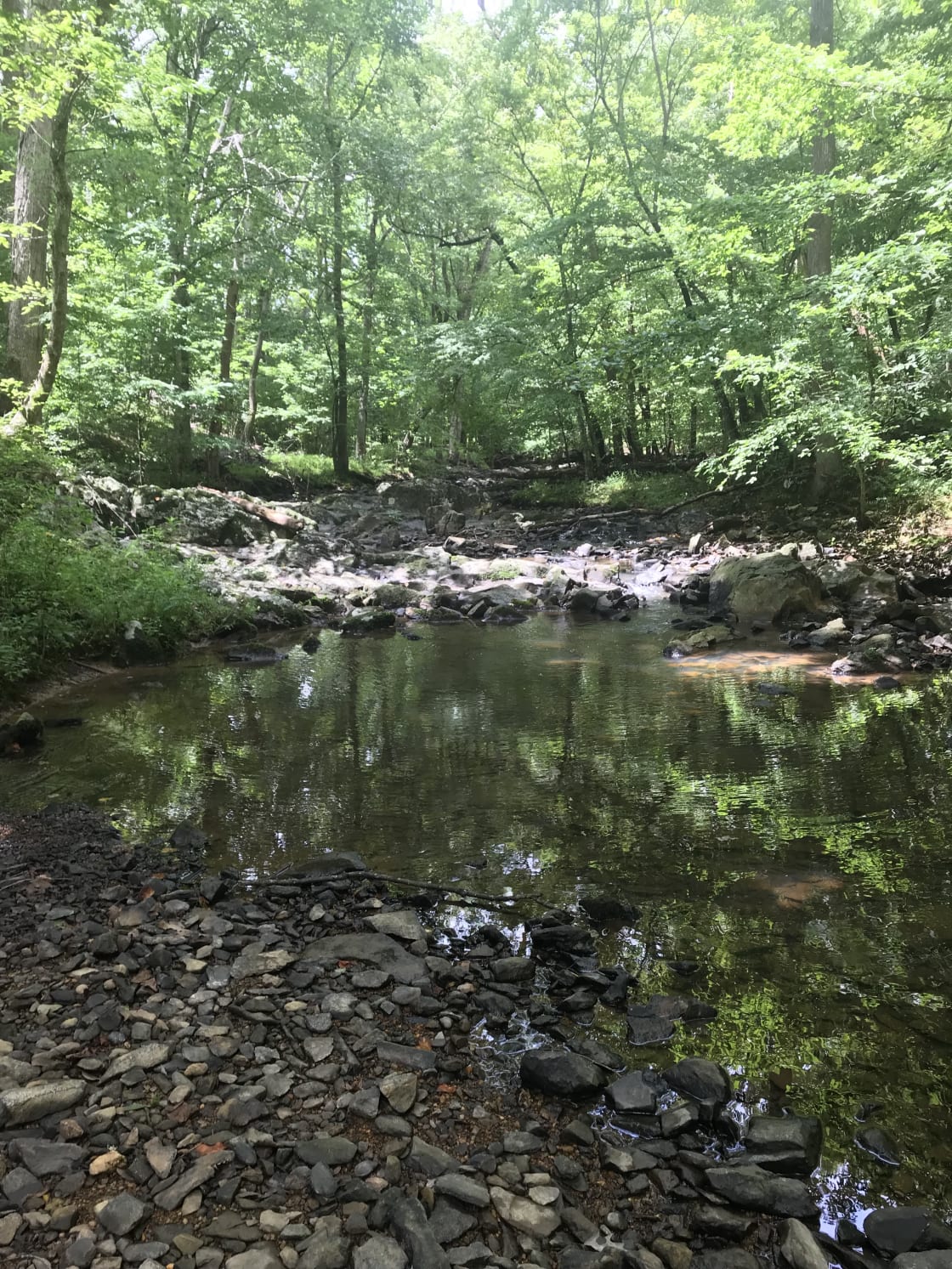 Enchanting creek access