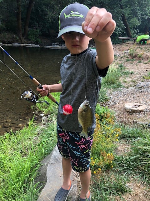 Fishing from the creek!