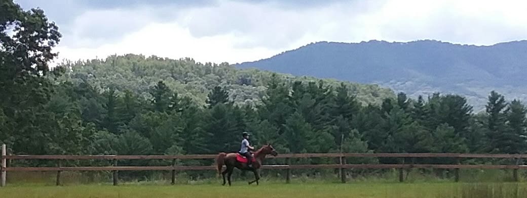 Blue Ridge Horse Adventures