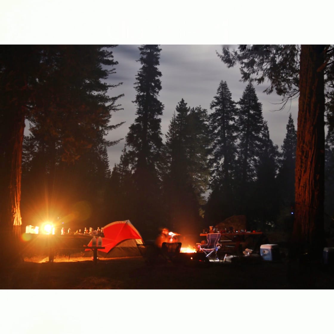 Night moves at the campground
