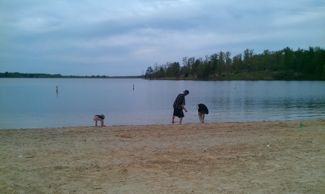There are two designated swimming areas on the beaches of the 1000 Acre Lake.