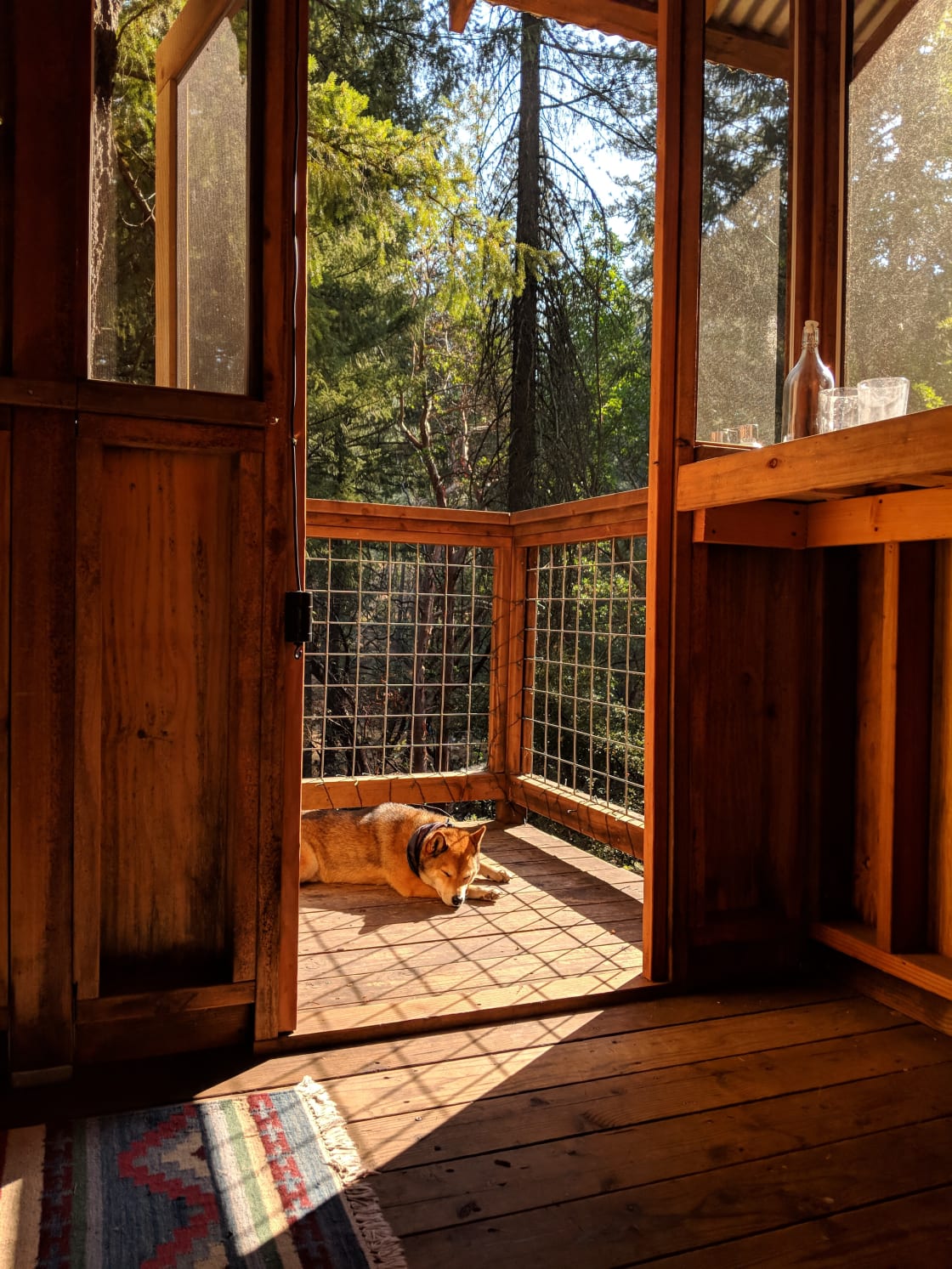 Our pup enjoyed the little outlook