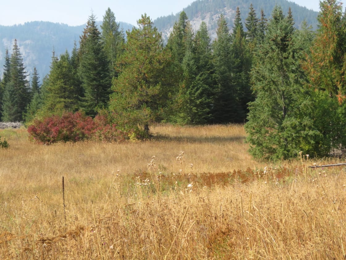 The big meadow at the back has many possibilities for tucking a camp into the trees or bigger groups out in the open, as a base area for further exploring. Pictures were taken at the end of summer, so it is dry, fall colors. Every season has it's colors!