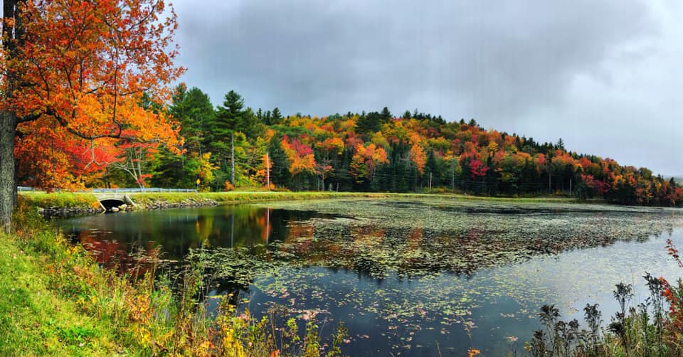 Incredible opportunities for leaf-peeping within a few short minutes' drive! 