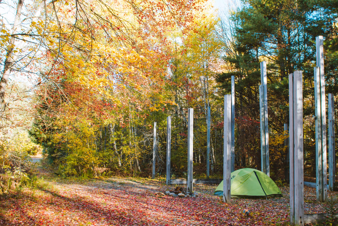 Camp rests nestled just far enough into the woods to ensure proper solitude 