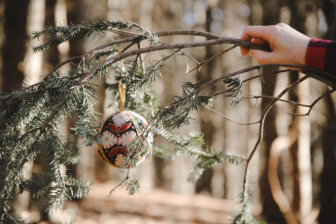 Being December, we wanted to celebrate the season even while in the woods! 