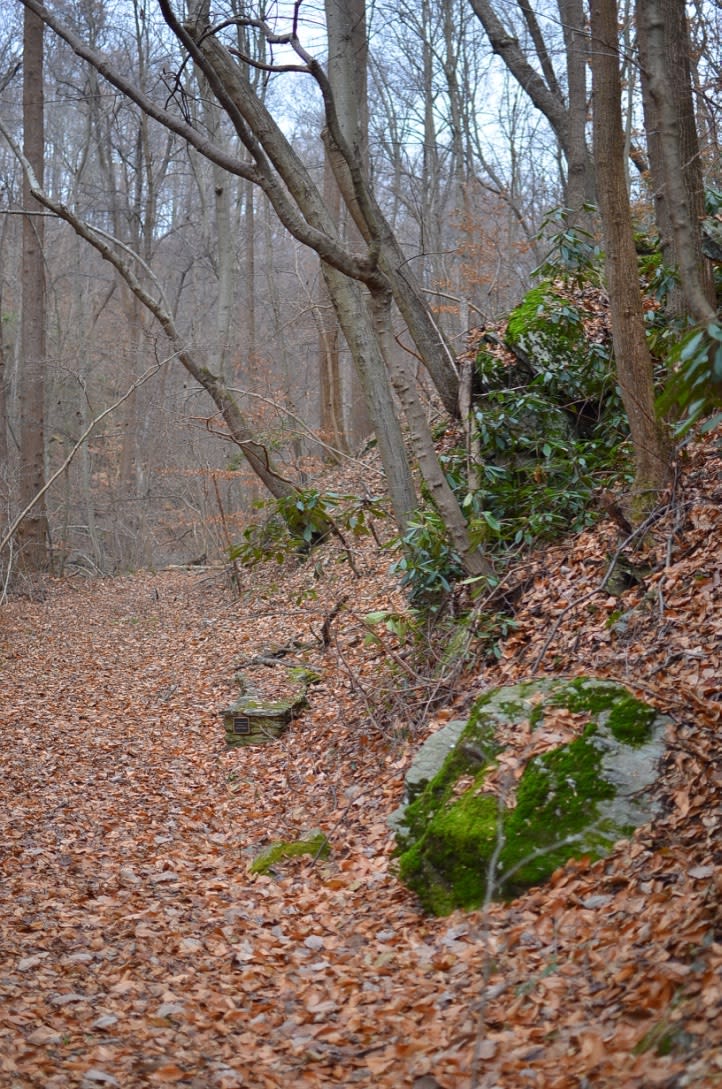 Trails range from flat and easy to more moderate hiking trails.
