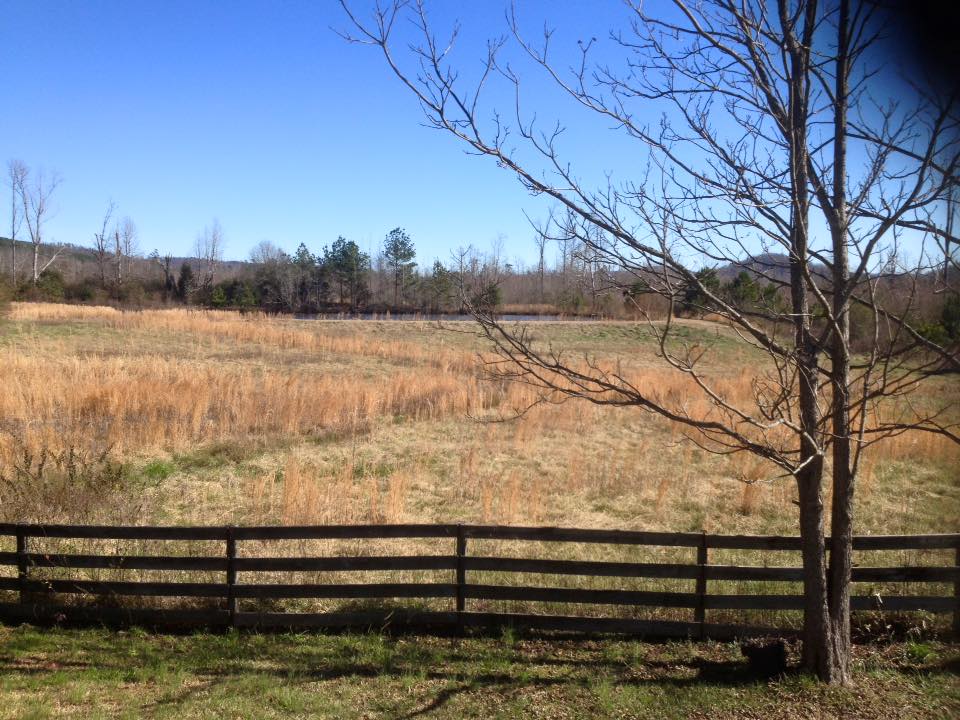 View of the pasture looking Southeast.