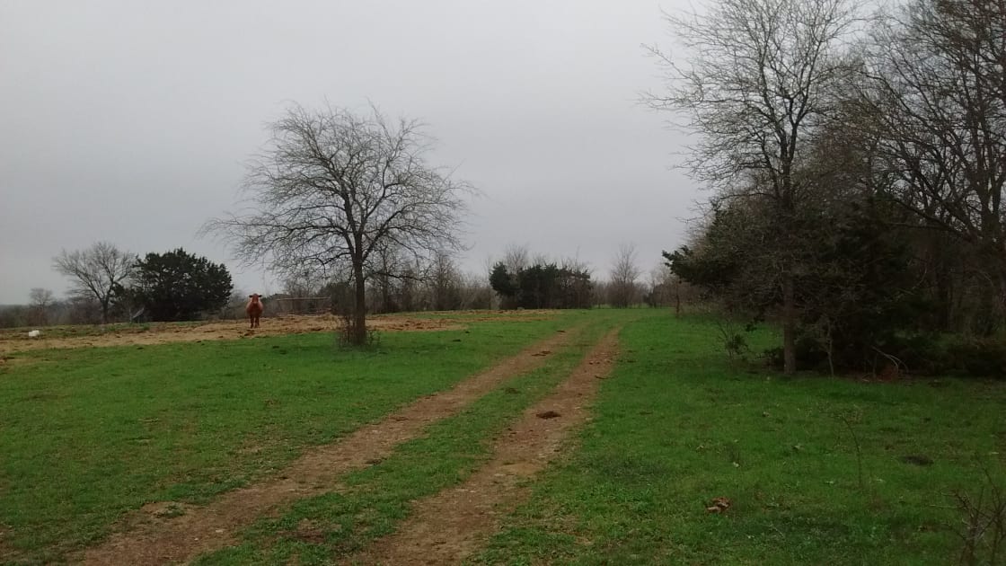 There is a primitive road throughout the property for driving and ATV exploration