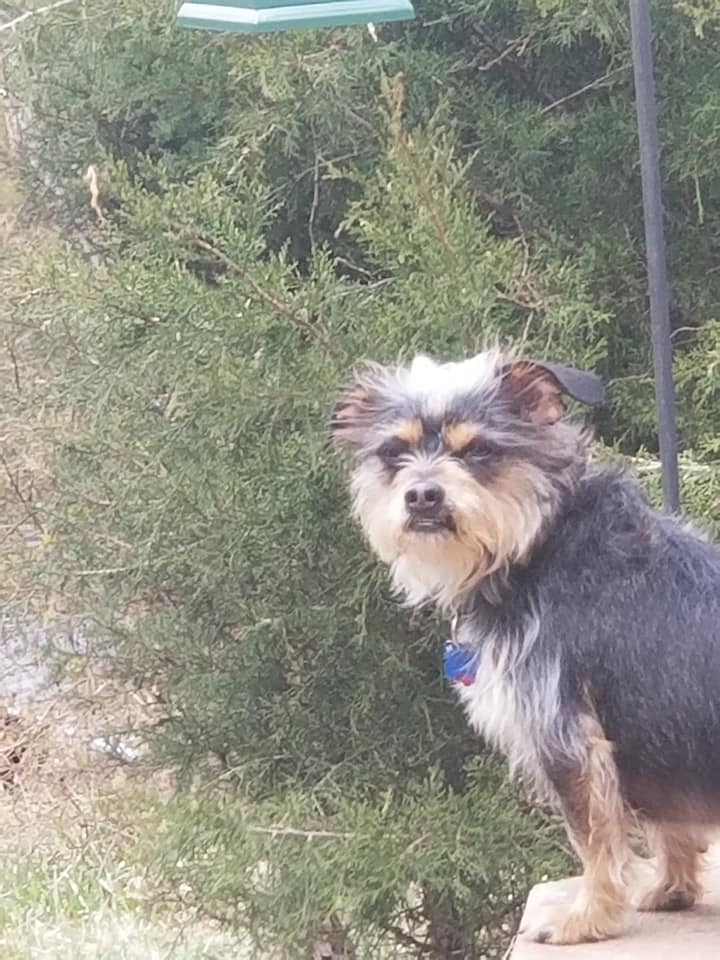 Lou checking out the scene