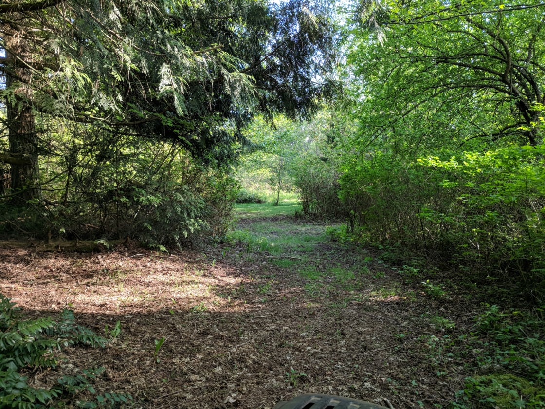 Trail leading from upper meadow area into the private wooded campsites above.