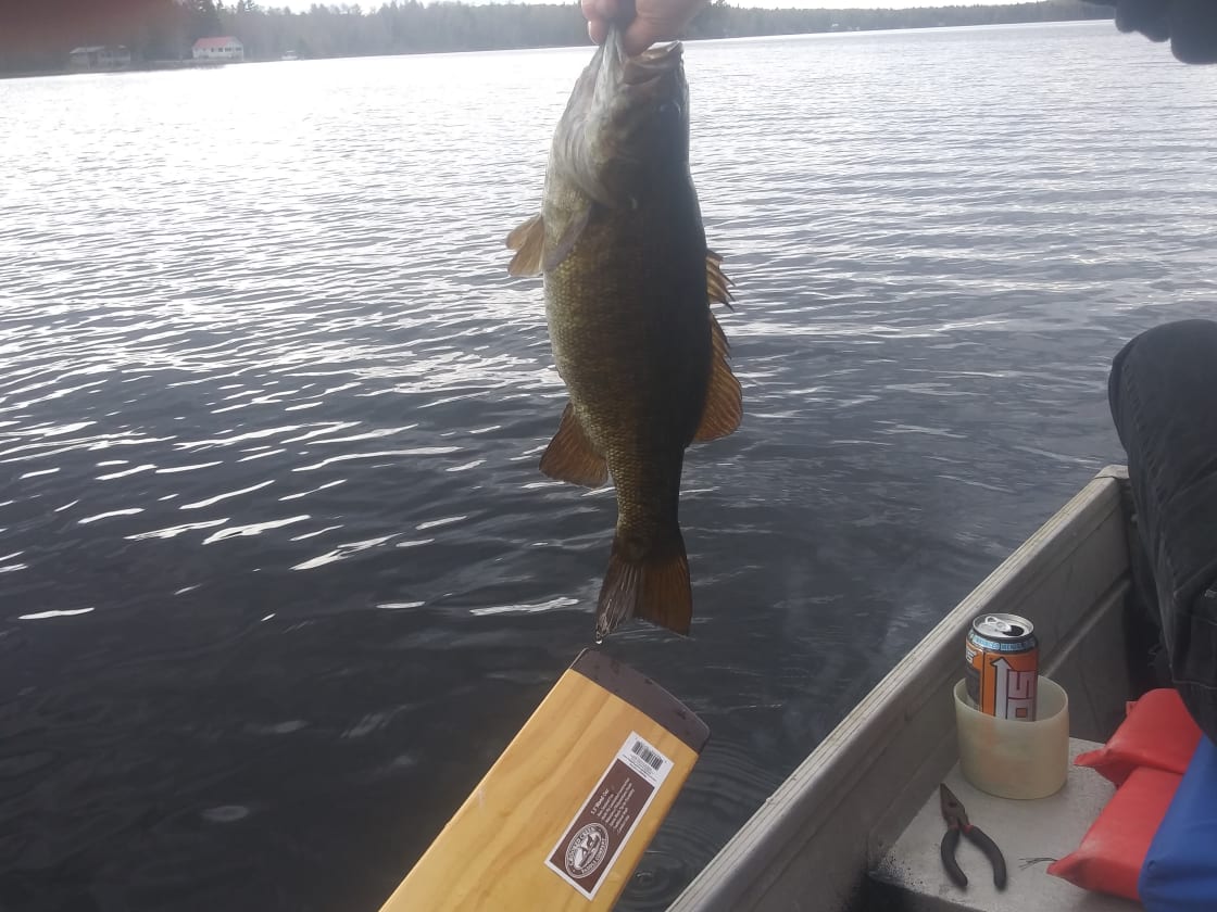 2nd Bass from 5/19/19
