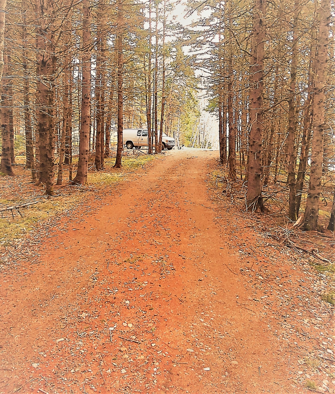 Driveway - toward parking area. No 4WD needed, big RVs have driven in with no problems. 