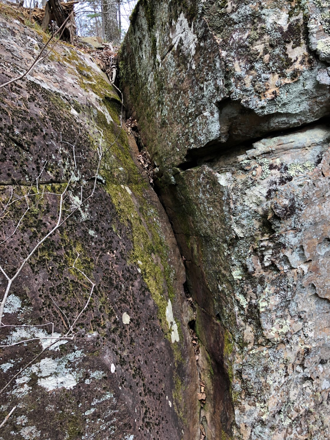You can hear the water that runs behind this crack in the rock.