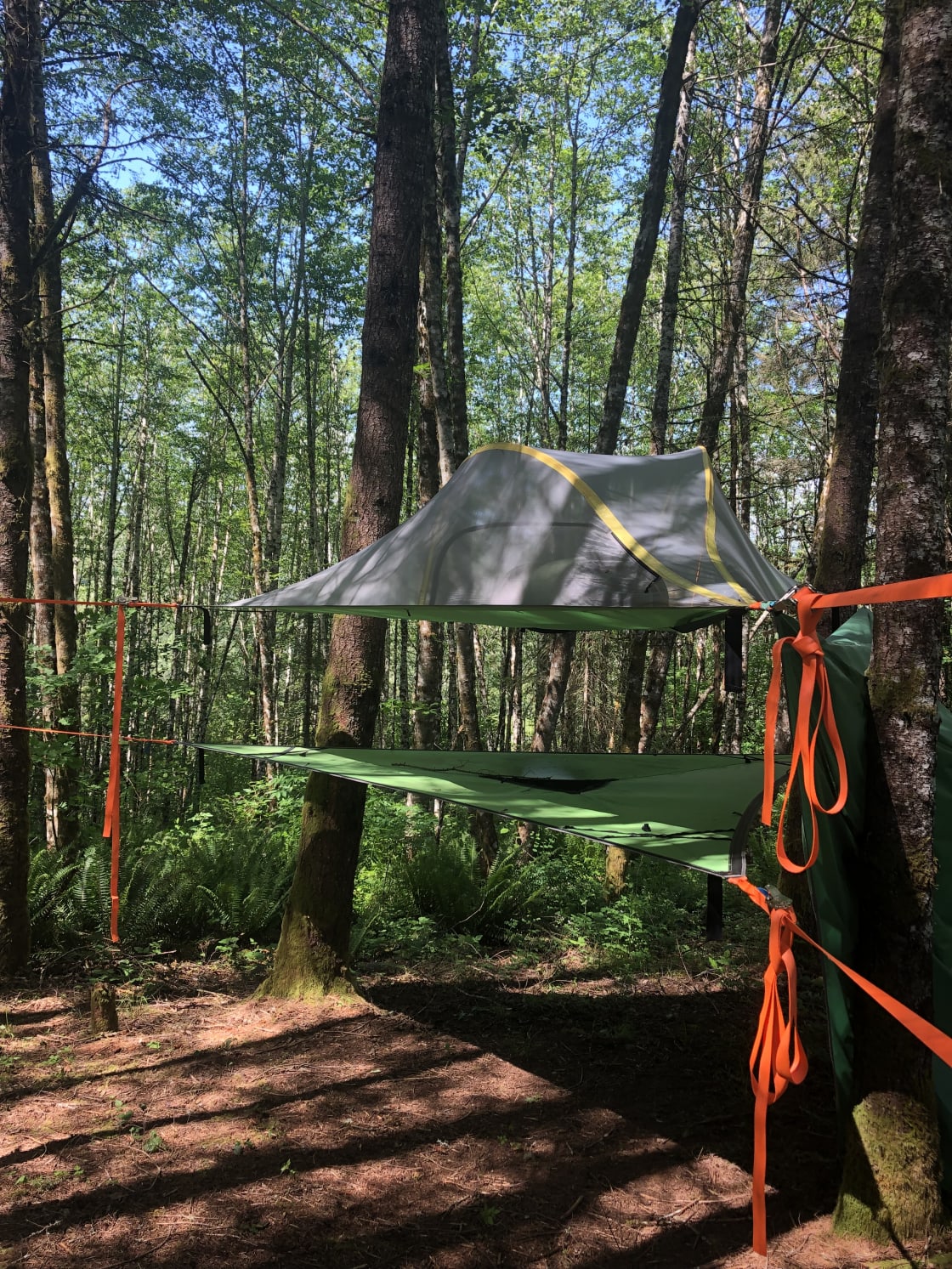 Tree-tent with hammock