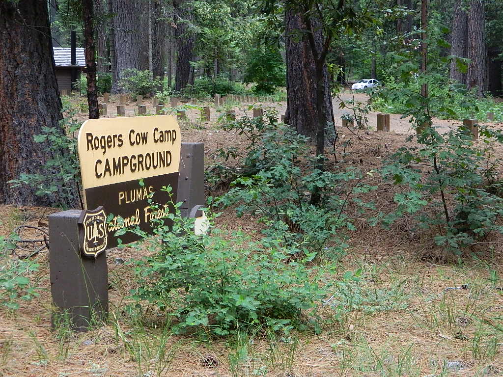 NFS campground sign
