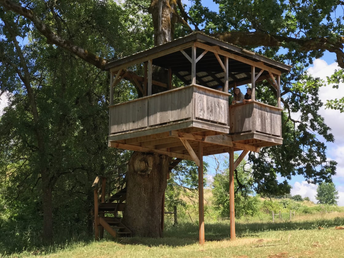 Summer time looks good on our tree house! :)