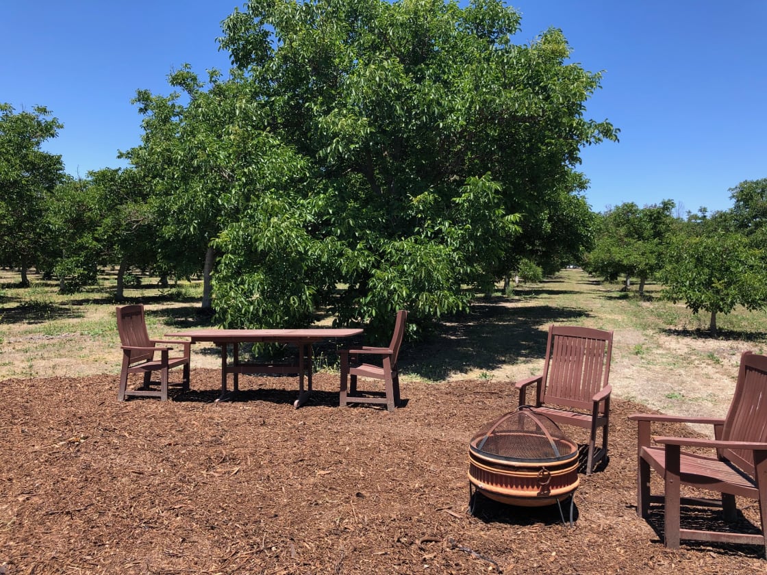 Farm Stay!  Camp alongside our 20 acre walnut grove. We provide picnic table with chairs, fire pit, ambient lighting, and a trash can. 