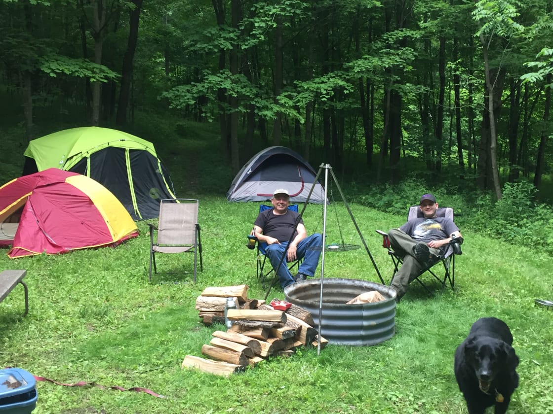 Campers / guests June 2019