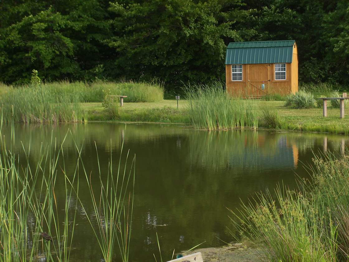 cabin view from across the pond