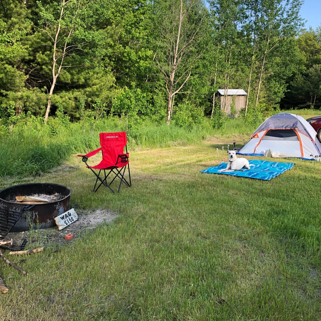 Cookson Lake Dispersed Campground