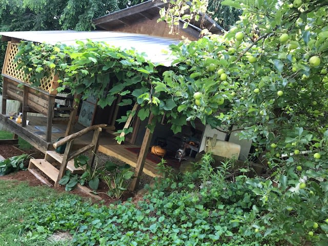 The outside of the tiny house surrounded by organic fruit