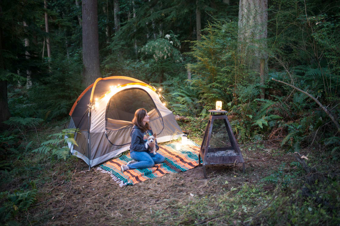 We loved the remote campsite nestled in the woods!