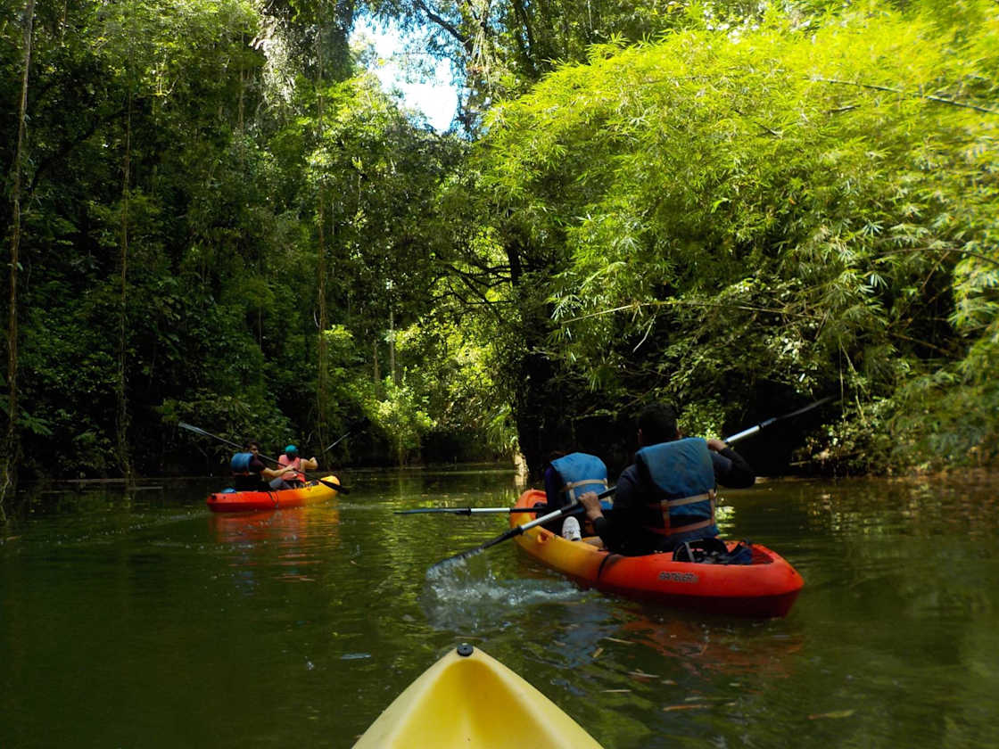 we have kayaks for rental at property