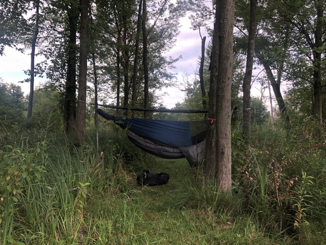 Limited hammock spots but worked!