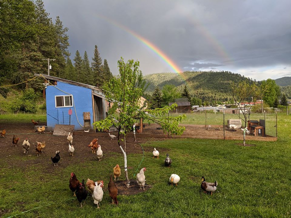 Rainbow Gulch Farm