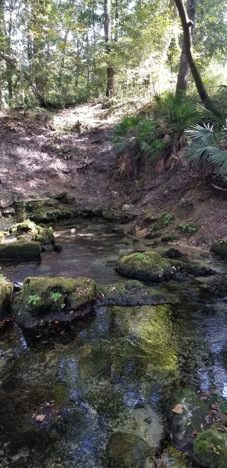 RUNNING SPRINGS RIVER RETREAT
