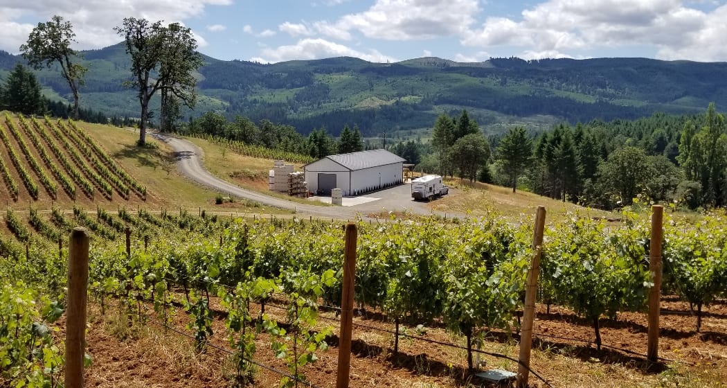 View of the spot along side the winery.