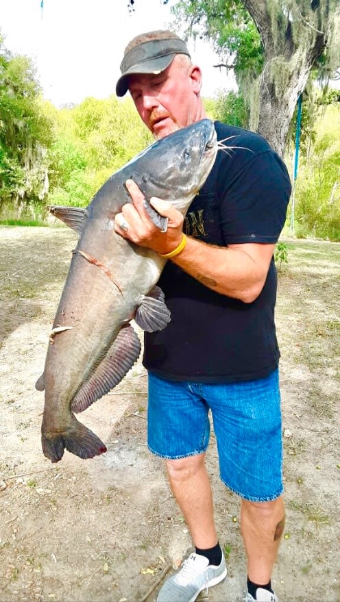 Huge catfish come out of this river!