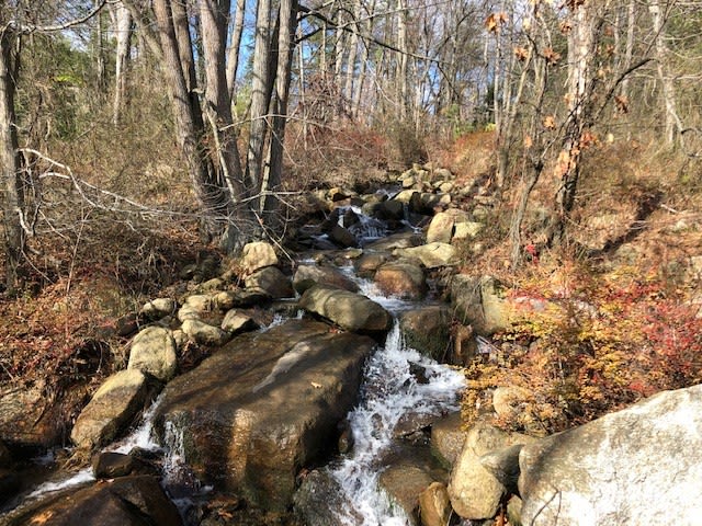 Private waterfall on the path to site