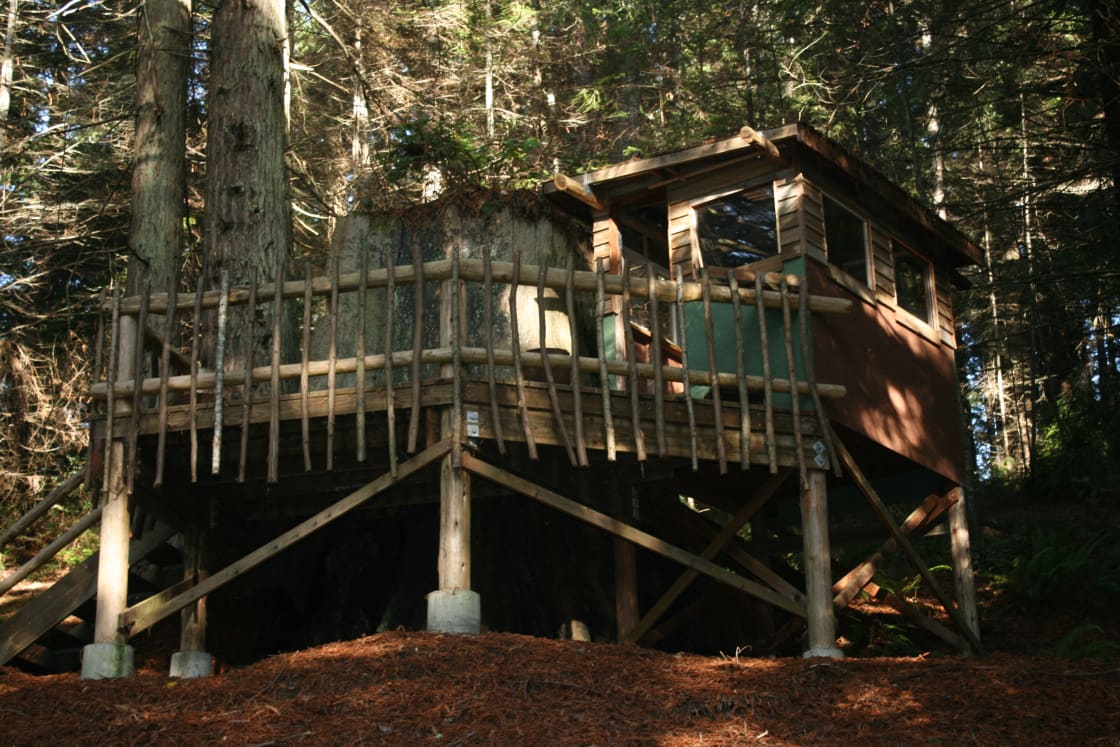 The Redwood Stumphouse