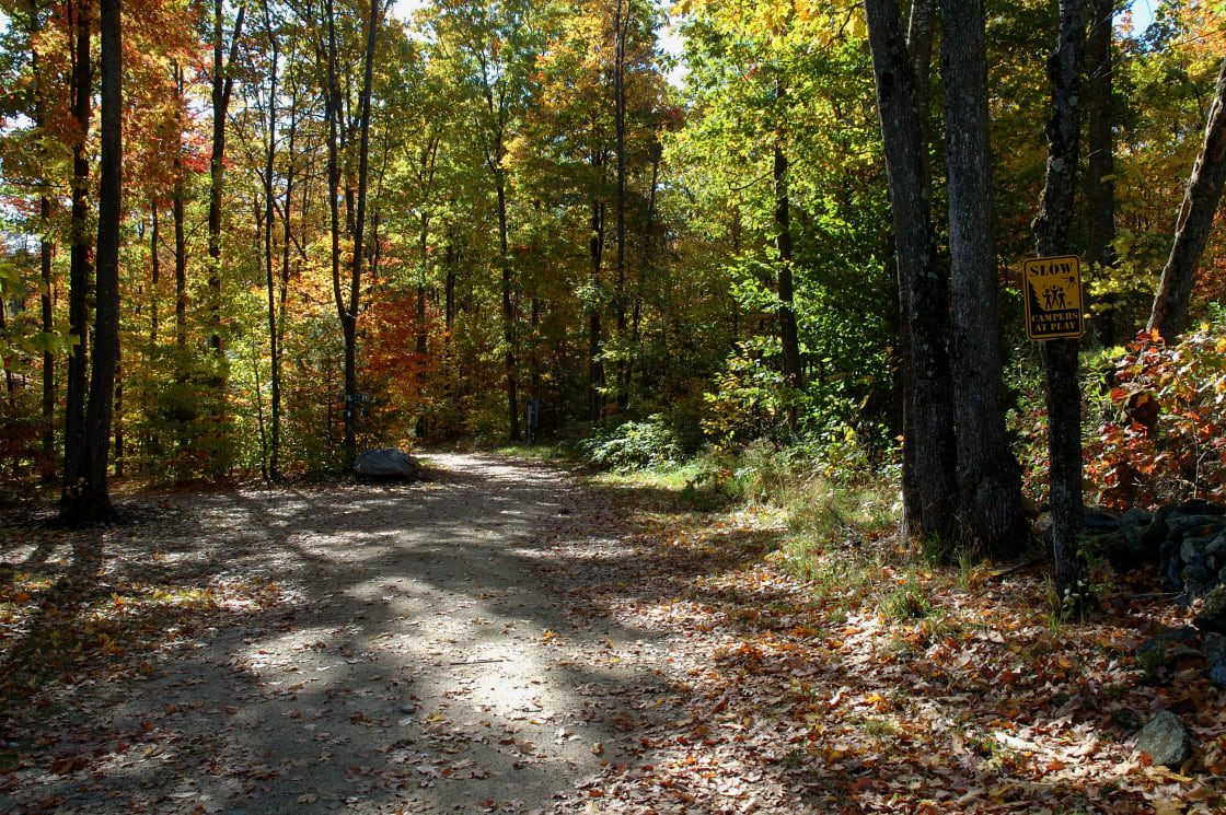 Hike, Mtn Bike or Bird watch on our endless private trails.