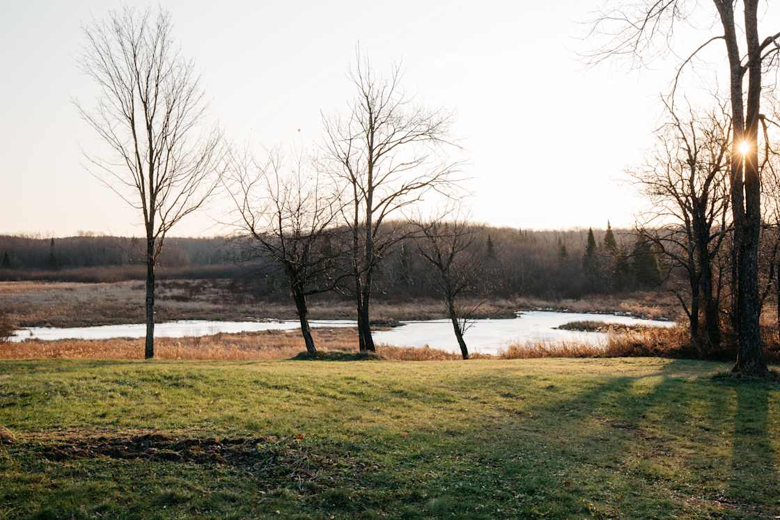 The marsh and pond. 