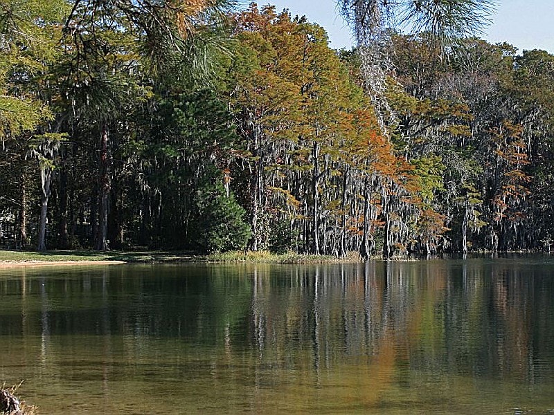 Property is 10 minutes to beautiful Lake Jackson in Florala, Alabama