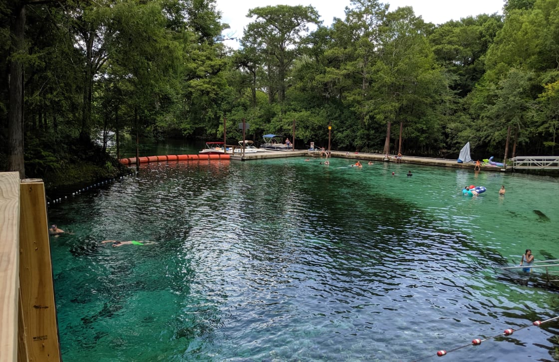 Fanning Springs is a short drive or boat ride on the famous Suwannee River.