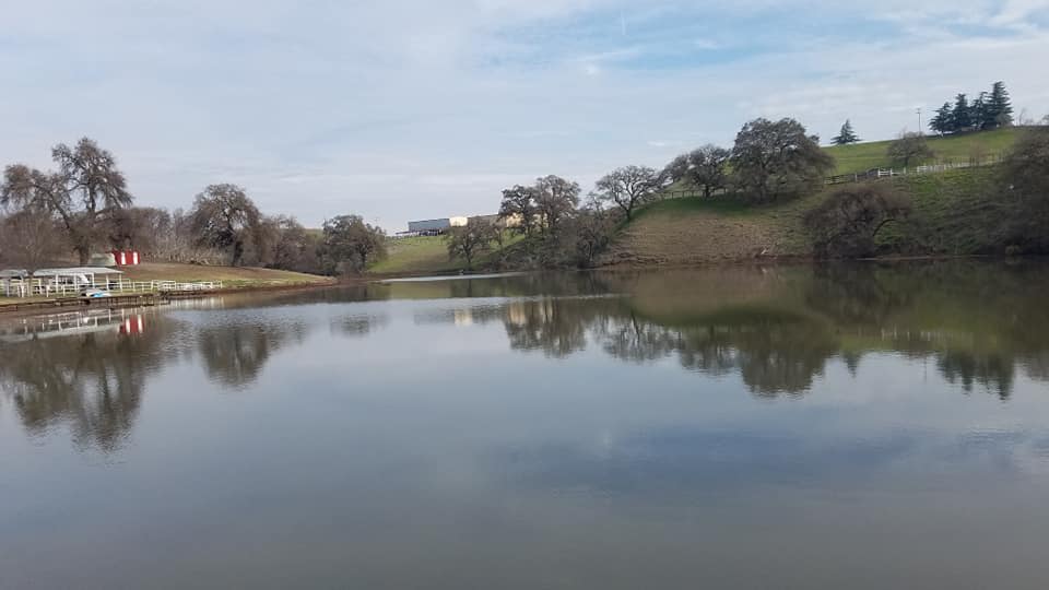 The Lake in Spring