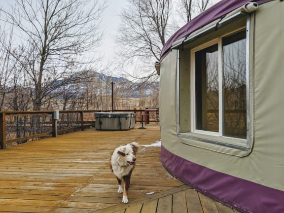 Riverwalk Yurt, luxury on river