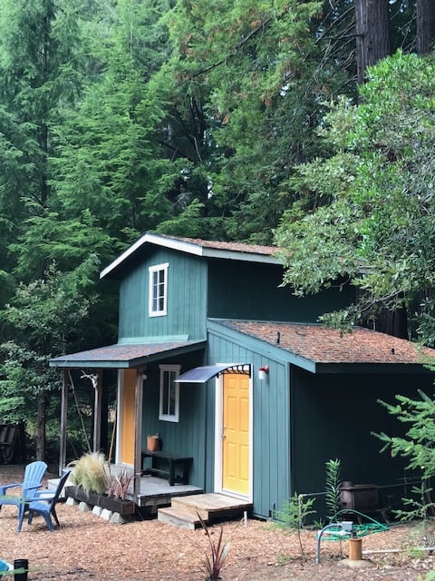 Tiny cabin surrounded by Redwood Trees