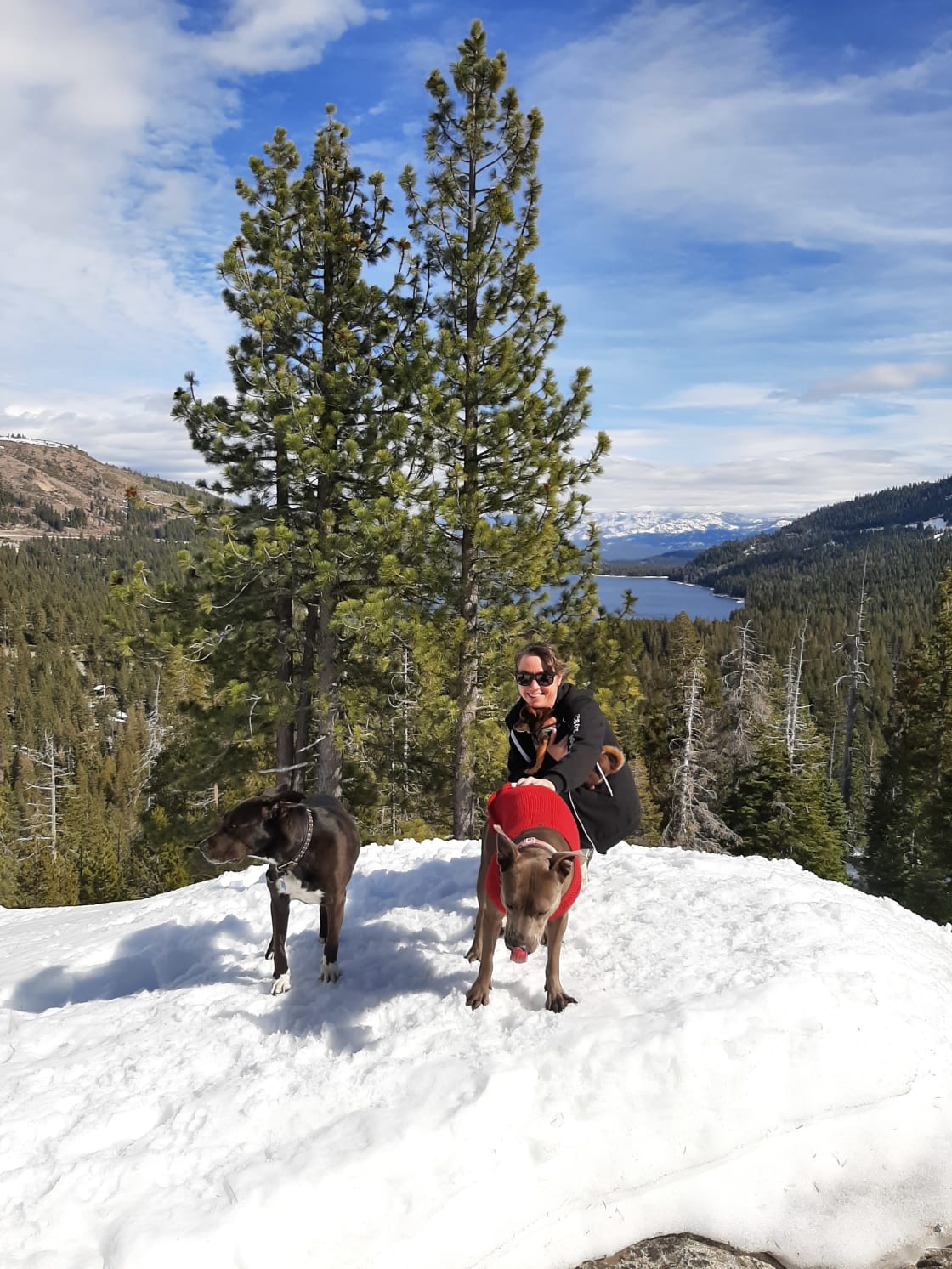 Short drive up Hwy 20 to snowshoe Donner Pass route.