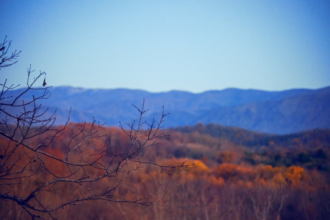 Fall view from the Log Cabin. Foothills of the Smoky Mountains.