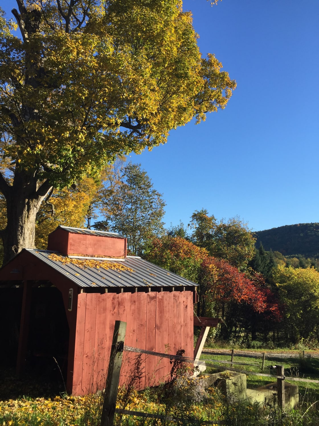 Fall at Maple Ridge Farm is beautiful!