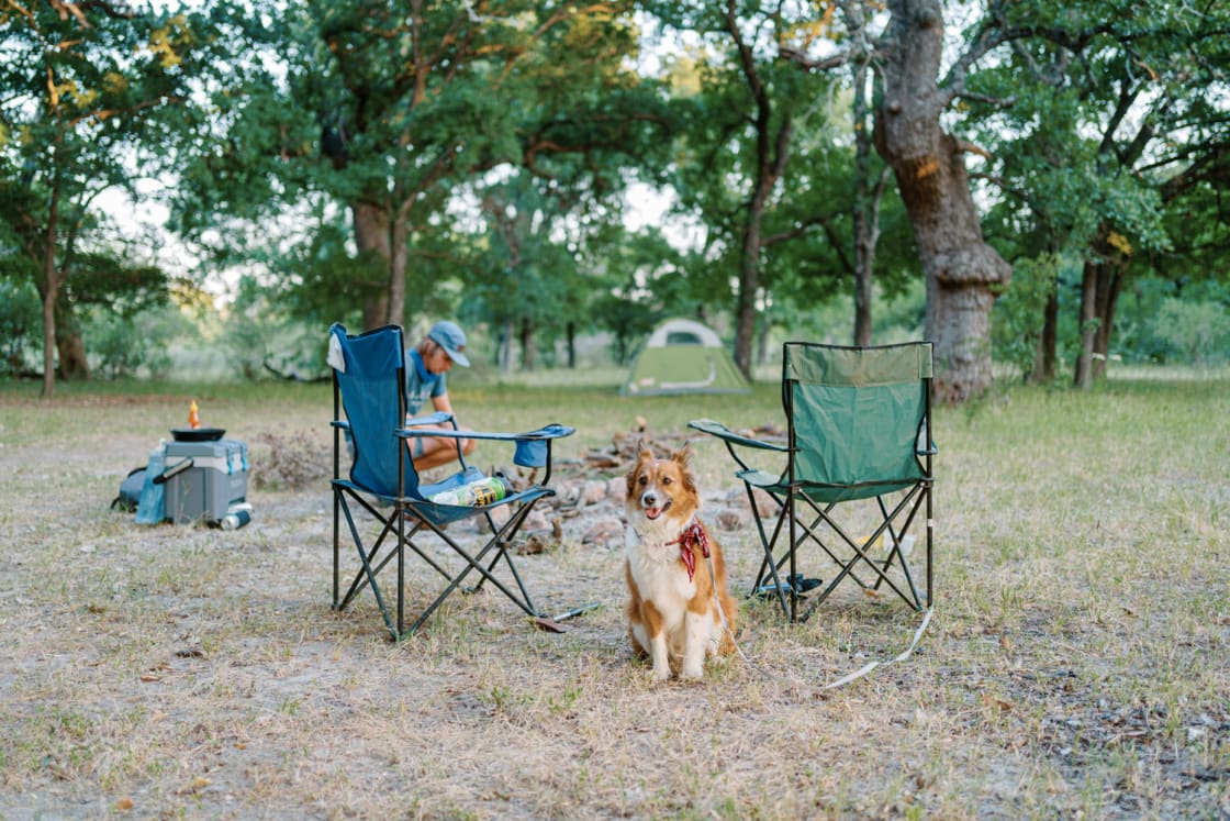 Our happy dog at the campsite